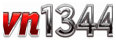vn1344 logo